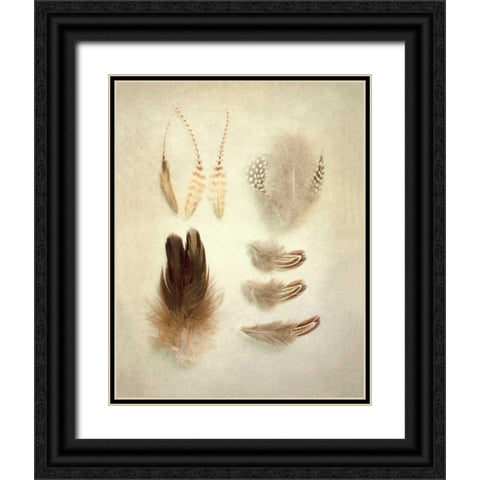 Feathers II Black Ornate Wood Framed Art Print with Double Matting by Urquhart, Elizabeth