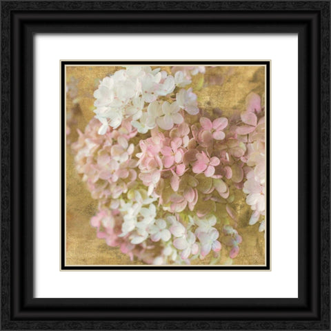 Gilded Hydrangea II Black Ornate Wood Framed Art Print with Double Matting by Schlabach, Sue