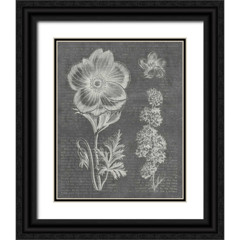 Eden Spring I Gray Black Ornate Wood Framed Art Print with Double Matting by Wild Apple Portfolio