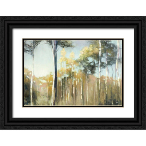 Aspen Reverie Black Ornate Wood Framed Art Print with Double Matting by Purinton, Julia