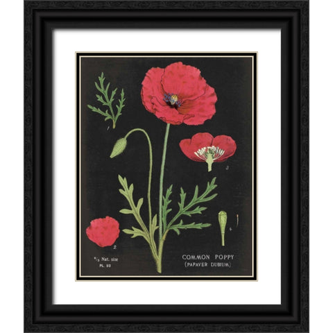 Poppy Chart Black Ornate Wood Framed Art Print with Double Matting by Schlabach, Sue