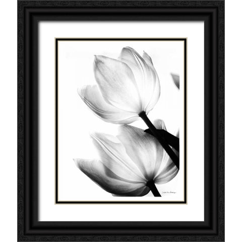 Translucent Tulips II no border Black Ornate Wood Framed Art Print with Double Matting by Van Swearingen, Debra