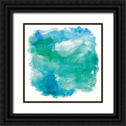 Sea Glass Black Ornate Wood Framed Art Print with Double Matting by Schick, Mike