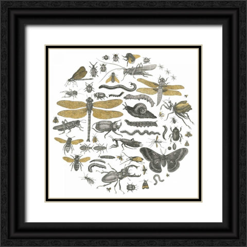 Insect Circle I Black Ornate Wood Framed Art Print with Double Matting by Wild Apple Portfolio
