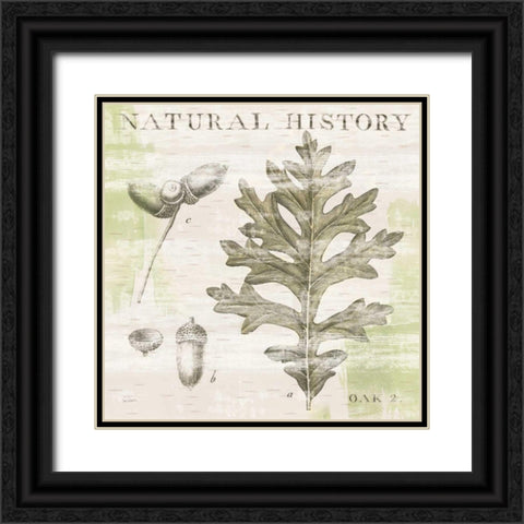 Natural History Oak II Black Ornate Wood Framed Art Print with Double Matting by Schlabach, Sue