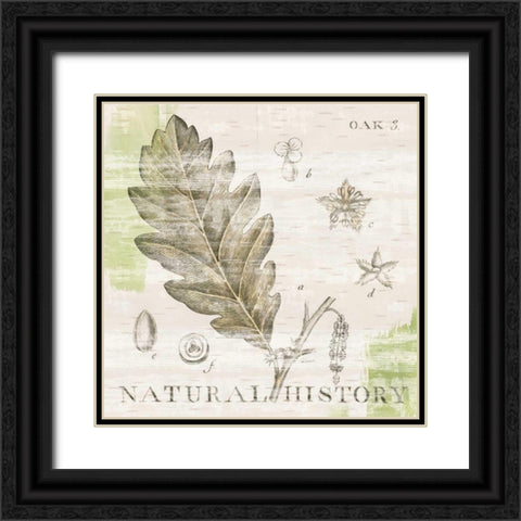 Natural History Oak III Black Ornate Wood Framed Art Print with Double Matting by Schlabach, Sue