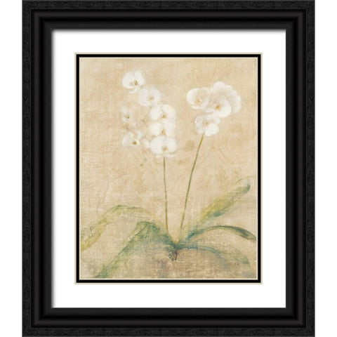 Orchid Cool Black Ornate Wood Framed Art Print with Double Matting by Blum, Cheri