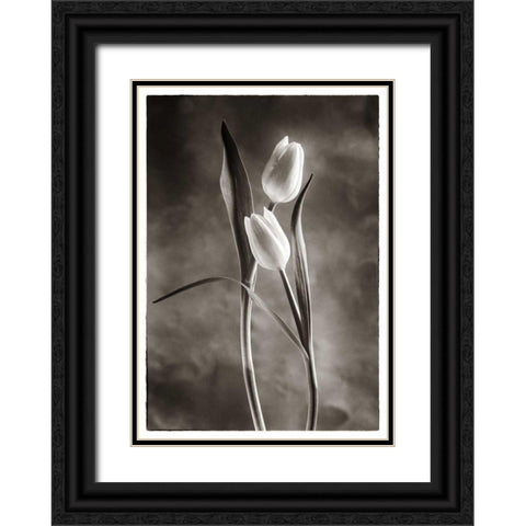 TwoTone Tulips VI Black Ornate Wood Framed Art Print with Double Matting by Van Swearingen, Debra