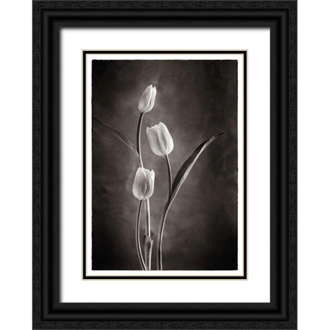 TwoTone Tulips VIII Black Ornate Wood Framed Art Print with Double Matting by Van Swearingen, Debra