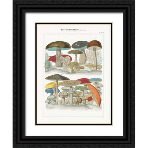Funghi Italiani I Black Ornate Wood Framed Art Print with Double Matting by Wild Apple Portfolio