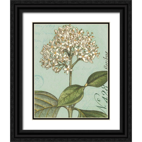 Botanique Bleu IV Black Ornate Wood Framed Art Print with Double Matting by Wild Apple Portfolio