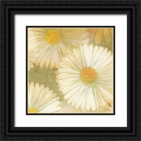 Daisy Story Square I Black Ornate Wood Framed Art Print with Double Matting by Lovell, Kathrine