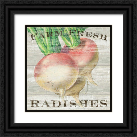 Farm Fresh Radishes Black Ornate Wood Framed Art Print with Double Matting by Schlabach, Sue