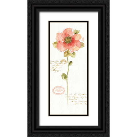 Rainbow Seeds Loose Floral IV Black Ornate Wood Framed Art Print with Double Matting by Audit, Lisa