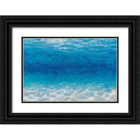 Underwater I Black Ornate Wood Framed Art Print with Double Matting by Wiens, James