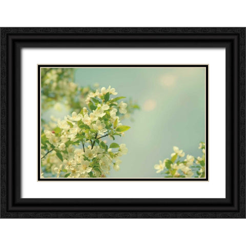 Spring Beauty I Black Ornate Wood Framed Art Print with Double Matting by Schlabach, Sue