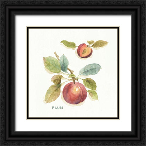 Orchard Bloom IV Black Ornate Wood Framed Art Print with Double Matting by Audit, Lisa