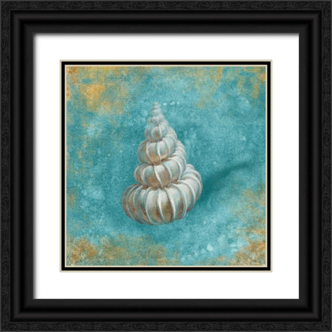 Treasures from the Sea II Aqua  Black Ornate Wood Framed Art Print with Double Matting by Nai, Danhui