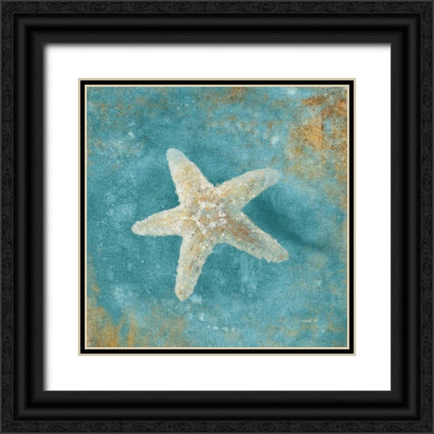 Treasures from the Sea IV Aqua  Black Ornate Wood Framed Art Print with Double Matting by Nai, Danhui