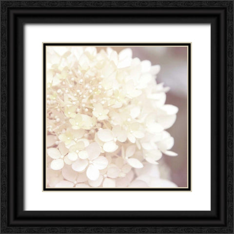 Hydrangea Dream I Black Ornate Wood Framed Art Print with Double Matting by Marshall, Laura
