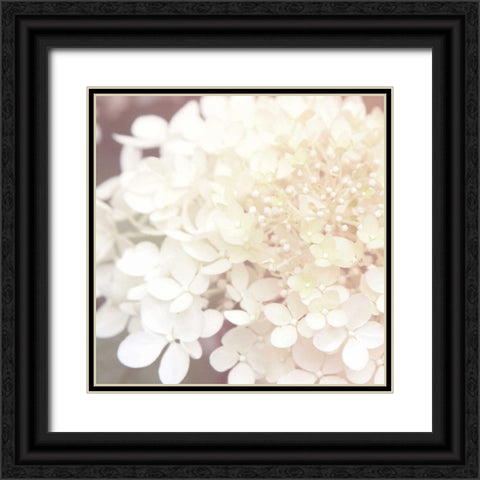 Hydrangea Dream II Black Ornate Wood Framed Art Print with Double Matting by Marshall, Laura
