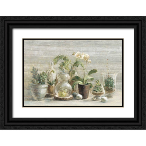 Greenhouse Orchids on Wood Black Ornate Wood Framed Art Print with Double Matting by Nai, Danhui