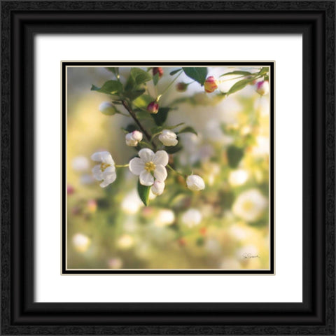 Blush Blossoms I Black Ornate Wood Framed Art Print with Double Matting by Schlabach, Sue