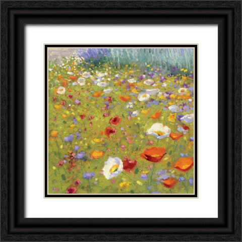 Champ de Fleur II  Black Ornate Wood Framed Art Print with Double Matting by Novak, Shirley
