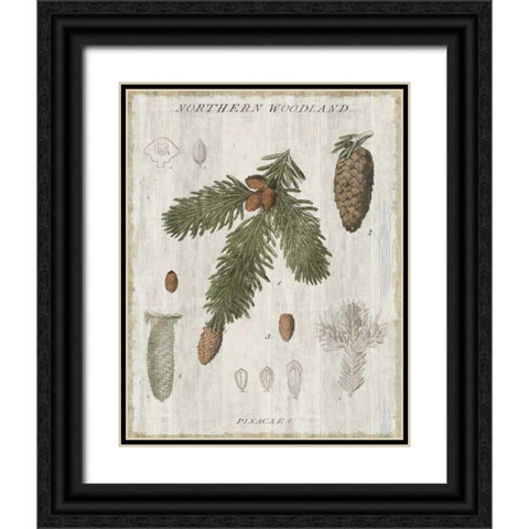 Woodland Chart V Black Ornate Wood Framed Art Print with Double Matting by Schlabach, Sue