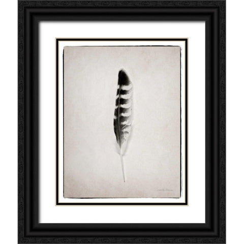 Feather IV BW  Black Ornate Wood Framed Art Print with Double Matting by Van Swearingen, Debra