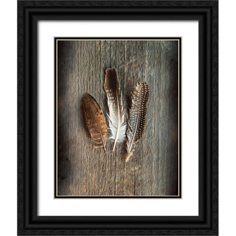 Feather Collection II Black Ornate Wood Framed Art Print with Double Matting by Schlabach, Sue