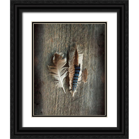 Feather Collection III Black Ornate Wood Framed Art Print with Double Matting by Schlabach, Sue