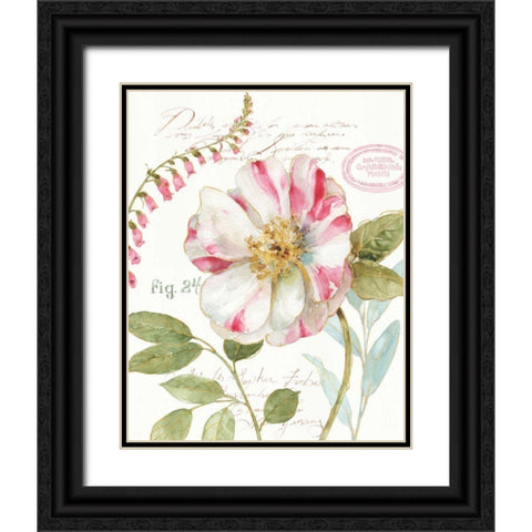 Rainbow Seeds Botanical II Black Ornate Wood Framed Art Print with Double Matting by Audit, Lisa