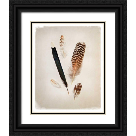 Feather Group II Black Ornate Wood Framed Art Print with Double Matting by Van Swearingen, Debra