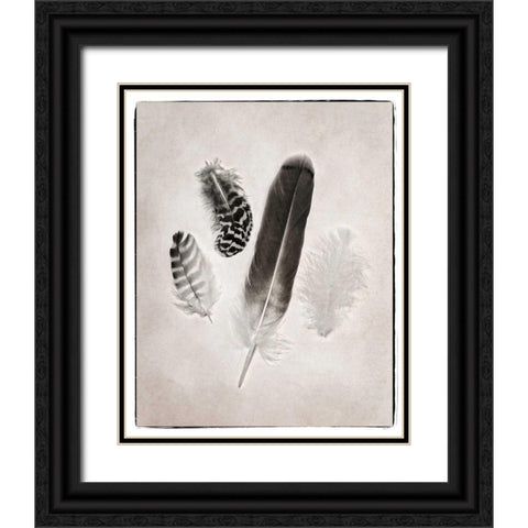 Feather Group I BW Black Ornate Wood Framed Art Print with Double Matting by Van Swearingen, Debra