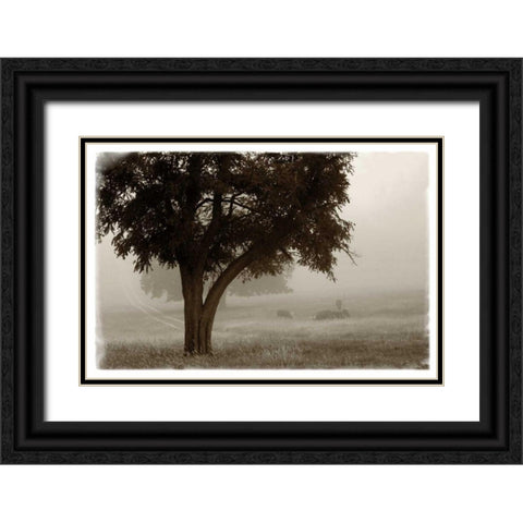 Calm Mist no Limb Black Ornate Wood Framed Art Print with Double Matting by Van Swearingen, Debra