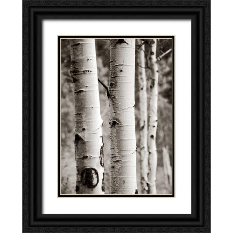 Aspens I Black Ornate Wood Framed Art Print with Double Matting by Van Swearingen, Debra
