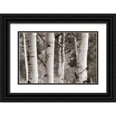 Aspens  IV Black Ornate Wood Framed Art Print with Double Matting by Van Swearingen, Debra