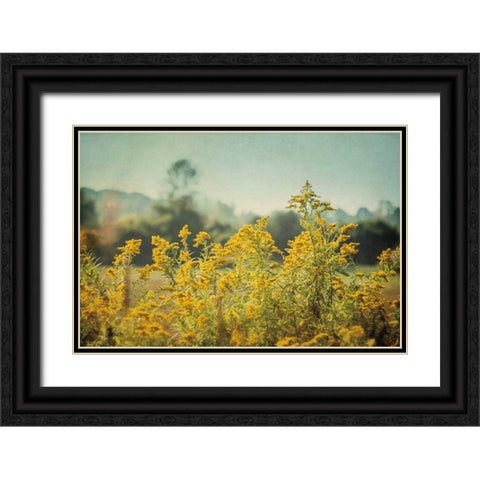Blissful Country IV Black Ornate Wood Framed Art Print with Double Matting by Urquhart, Elizabeth
