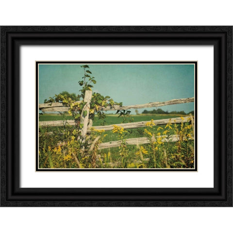 Blissful Country V Black Ornate Wood Framed Art Print with Double Matting by Urquhart, Elizabeth