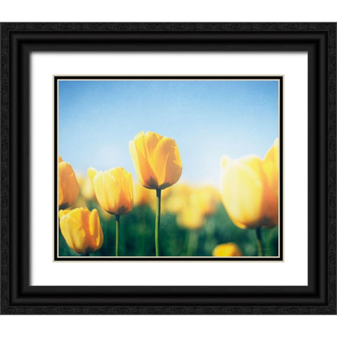 Sunny Blooms III Black Ornate Wood Framed Art Print with Double Matting by Urquhart, Elizabeth