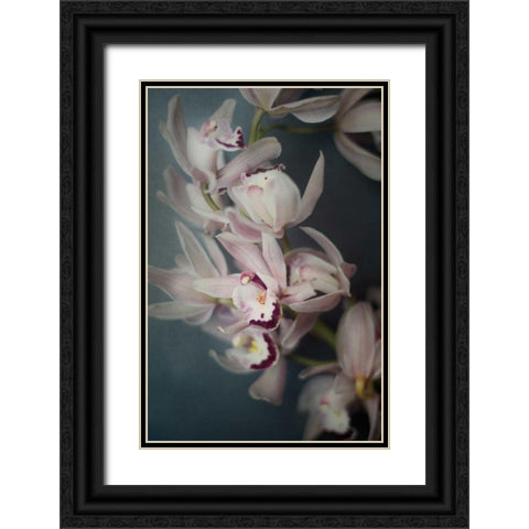 Dark Orchid I Black Ornate Wood Framed Art Print with Double Matting by Urquhart, Elizabeth