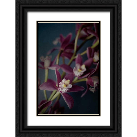 Dark Orchid III Black Ornate Wood Framed Art Print with Double Matting by Urquhart, Elizabeth