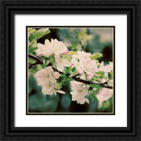 Apple Blossoms I Crop Black Ornate Wood Framed Art Print with Double Matting by Urquhart, Elizabeth