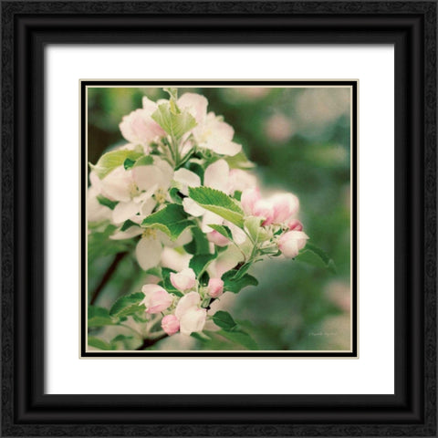 Apple Blossoms II Crop Black Ornate Wood Framed Art Print with Double Matting by Urquhart, Elizabeth