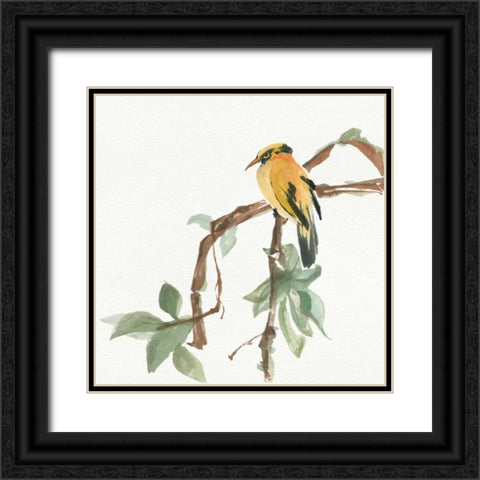 Black Napped Oriole Black Ornate Wood Framed Art Print with Double Matting by Paschke, Chris
