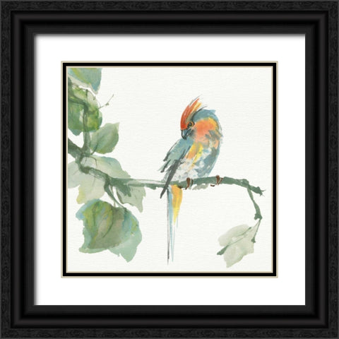 Crested Cockatoo Black Ornate Wood Framed Art Print with Double Matting by Paschke, Chris