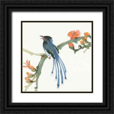 Formosan Blue Magpie Black Ornate Wood Framed Art Print with Double Matting by Paschke, Chris