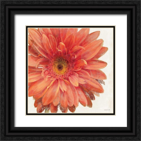 Vivid Daisy Black Ornate Wood Framed Art Print with Double Matting by Nai, Danhui