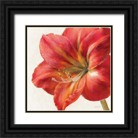 Vivid Amaryllis Black Ornate Wood Framed Art Print with Double Matting by Nai, Danhui